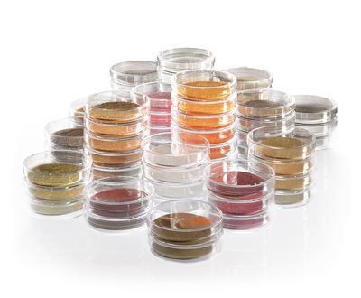 Sartorius 14055--47------N Nutrient Pad Sets, Dehydrated Media Pads in Standard TTC Media and 0.45µm gridded Membrane Filter 47 mm, Individually Packed, 100/pk