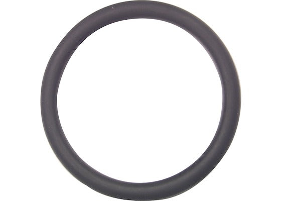 Advantec 720015 O-RING FPM FOR STANDARD PV
