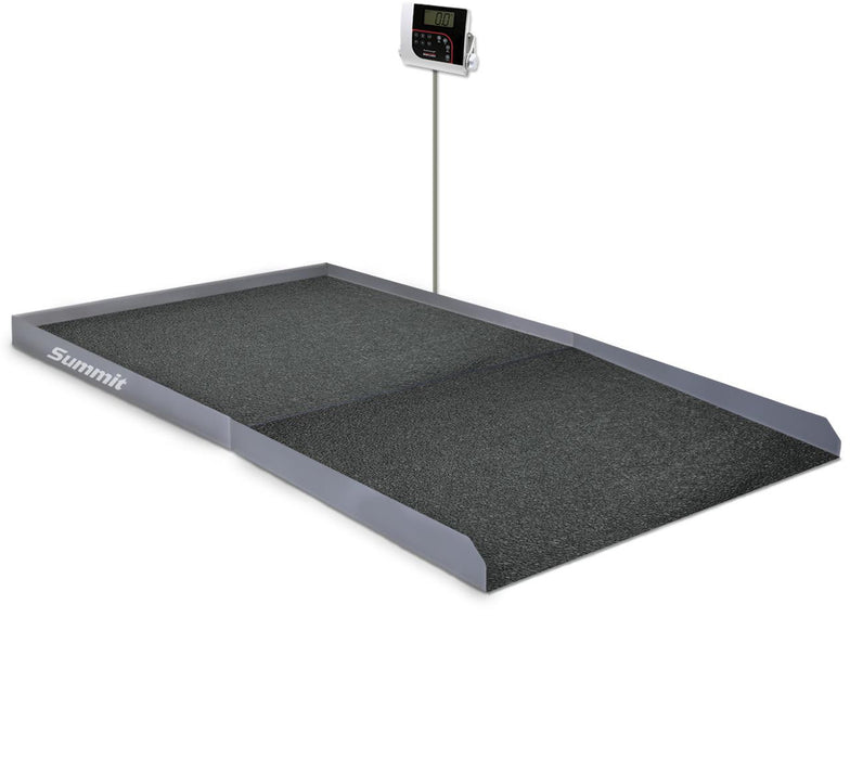 Ricelake SD-1150-WP In Ground Dialysis Wheelchair Scale, 1000 lb x 0.2 lb