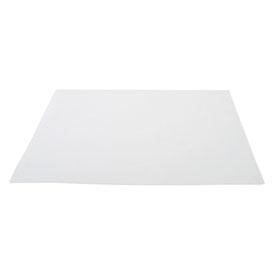 I.W. Tremont TSSS810 Grade TSS cut to 8 x 10 inch sheets - 100/pk Binderless glass microfiber for determination of total suspended solids