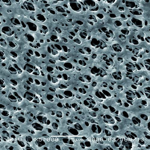 GVS 1213782 Magna™, Filtration Membrane, Nylon 25mm 0.65 µm