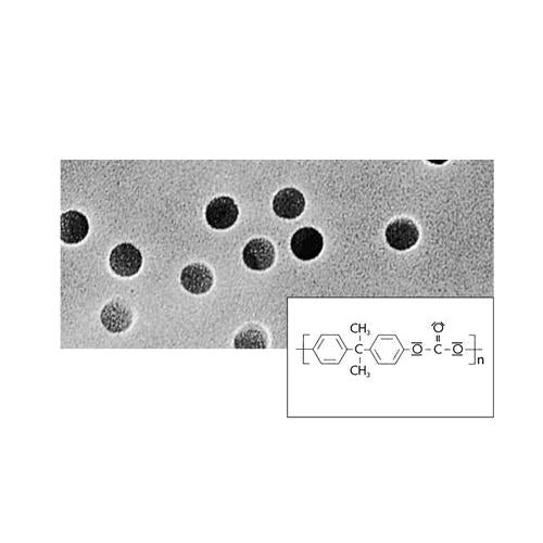 Sartorius 23015--47------N Polycarbonate Filter Membrane Filter, 15 µm, 47mm, 100/pack