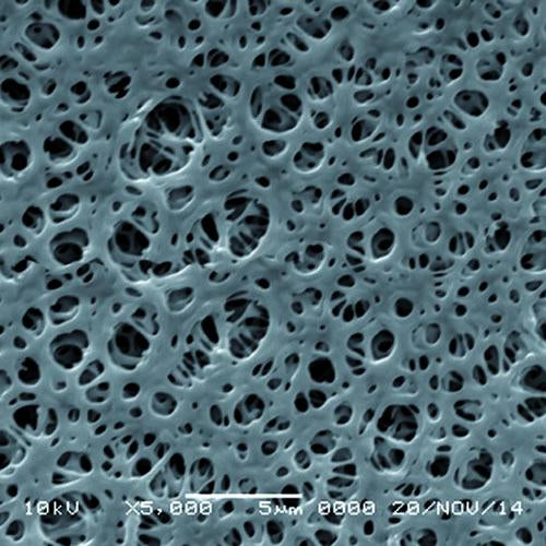 GVS 3032876 UltraSep™, Filtration Membrane, Polyethersulfone 25mm 0.03 µm