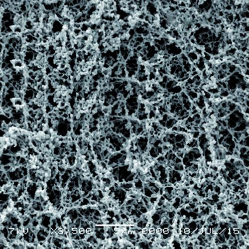 GVS 3034974 AcetatePlus™, Filtration Membrane Cellulose Acetate 20cmx20cm 0.8 µm