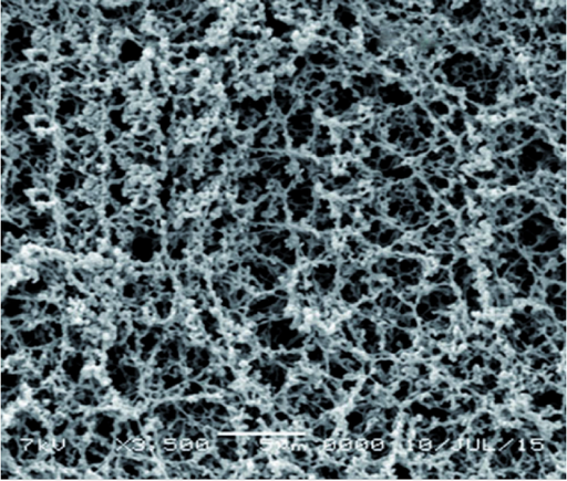 Acetate Microscope Cellulose Acetate Membranes — Labfilterz
