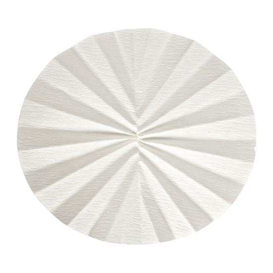 Ahlstrom 5190-3850 Pre-Pleated (Fluted) Filter Paper, Grade 519, 385 mm