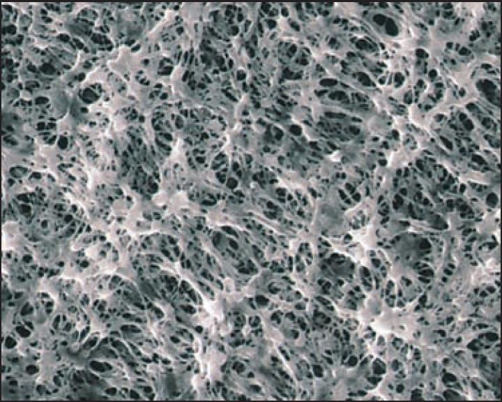 Advantec H100A047A Membrane Filters PTFE/PHILIC 1.0 47MM WP 100/PK