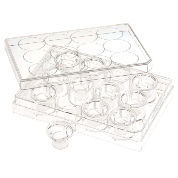 CELLTREAT 230623 Permeable Cell Culture Inserts, Packed in 12 Well Plate, Hanging, PET, 3.0µm, Sterile, 24/pk