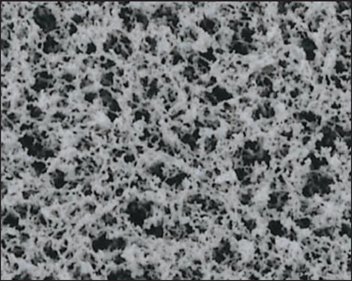 Advantec A080A025A Nitrocellulose Mixed Ester (MCE) Membrane Filters, 0.8 Micron, 25mm, 100/Pk