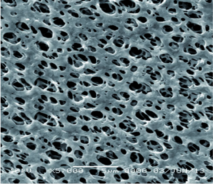 GVS 1213791 Magna™, Filtration Membrane, Nylon 90mm 0.8 µm