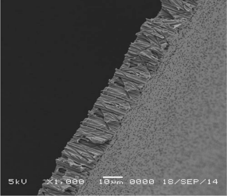 GVS 1215304 Poretics™, Filtration Membrane Polycarbonate Track Etched Hydrophilic 142mm 0.1 µm