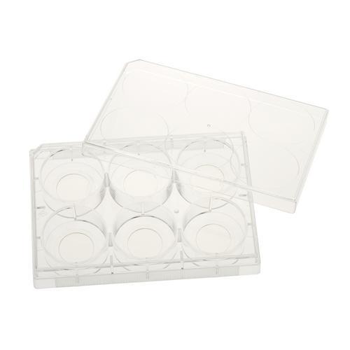 Celltreat 229107 6 Well Glass Bottom Tissue Culture Plate, 20mm Glass, Sterile