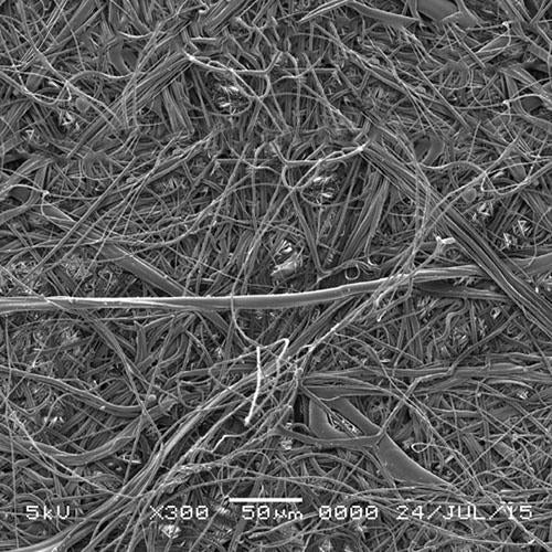 GVS 1212392 PolySep™, Filtration Membrane Polypropylene 90mm 1.2 µm