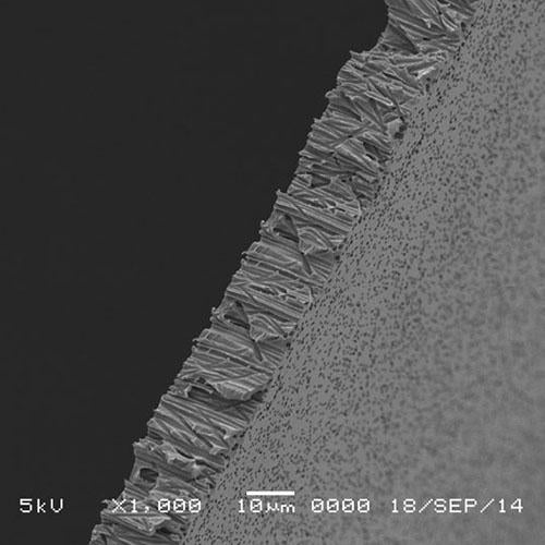 GVS 1215628 Poretics™, Filtration Membrane Polycarbonate Track Etched Hydrophilic 47mm 1.0 µm, 100/pk