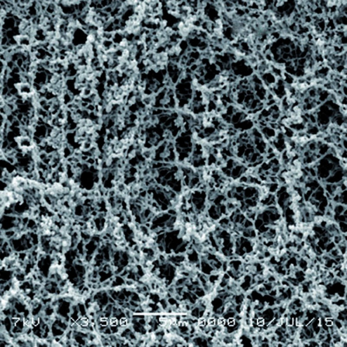 GVS 3052874 Hydrophilic Cellulose Acetate (CA) Filter Membrane 0.45 µm, 50 mm (100/Pack)