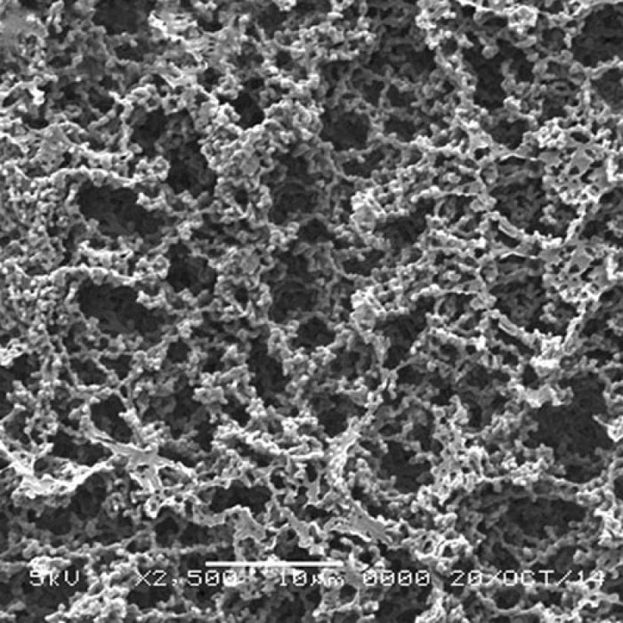 GVS 1215438 Hydrophilic Nitrocellulose Filter Membrane 1.2 µm, 13 mm (100/Pack)