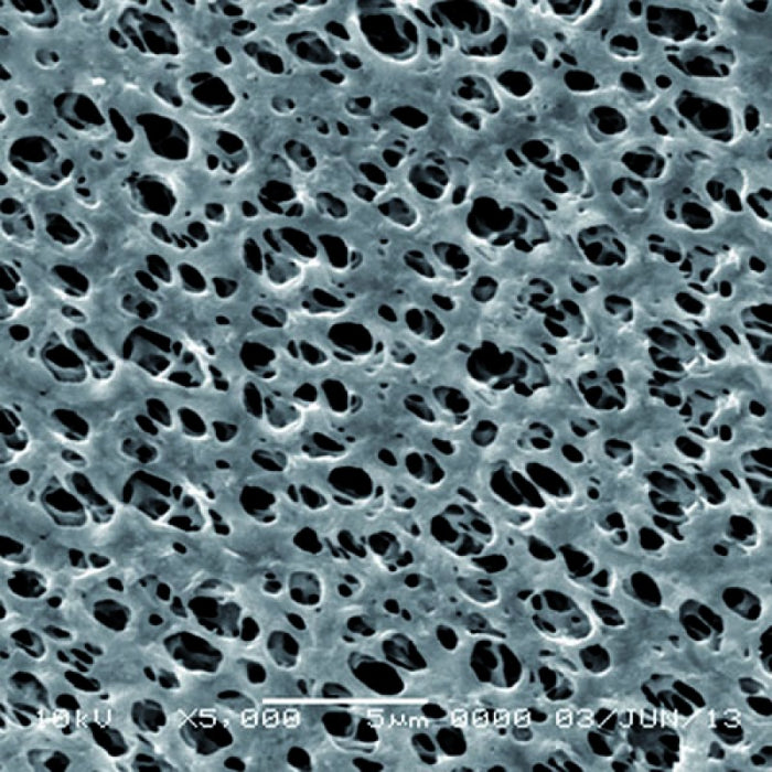 GVS 1214880 Hydrophilic Nylon Filter Membrane 1.2 µm, 47 mm (100/Pack)