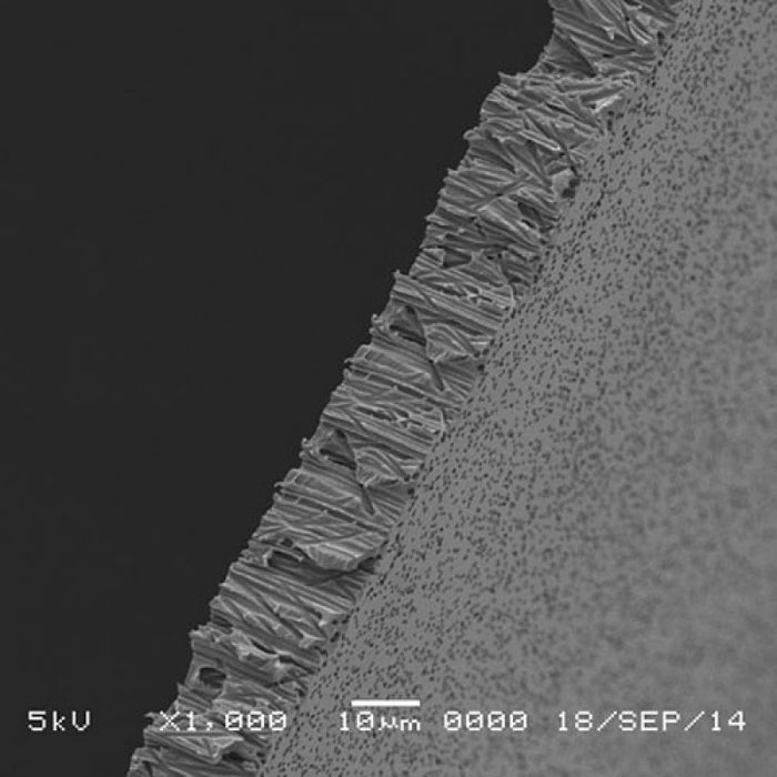GVS 1215275 Hydrophilic PCTE Filter Membrane 3 µm, (30/Pack)
