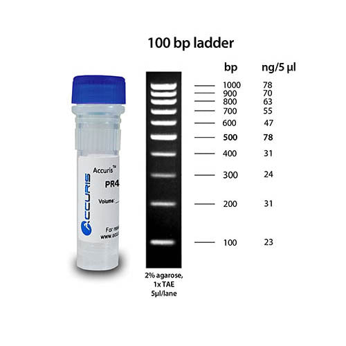 Accuris PR4010-100 SmartCheck 100bp DNA Ladder, 500ul/100 lanes, 0.1 mg/ml Concentration